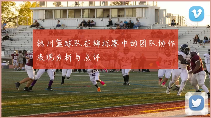 杭州篮球队在锦标赛中的团队协作表现分析与点评