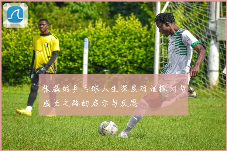张磊的乒乓球人生深度对话探讨与成长之路的启示与反思