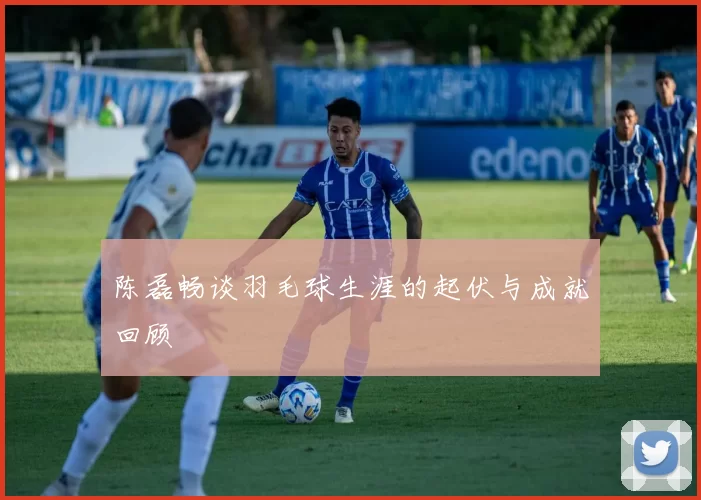 陈磊畅谈羽毛球生涯的起伏与成就回顾