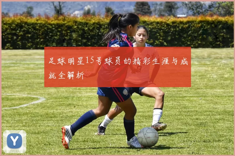 足球明星15号球员的精彩生涯与成就全解析
