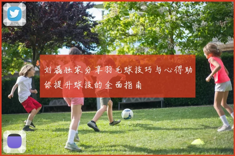 刘磊独家分享羽毛球技巧与心得助你提升球技的全面指南