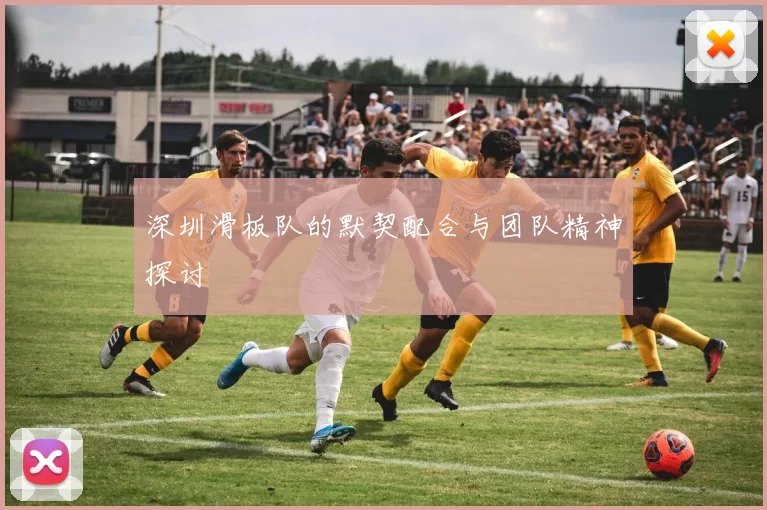 深圳滑板队的默契配合与团队精神探讨