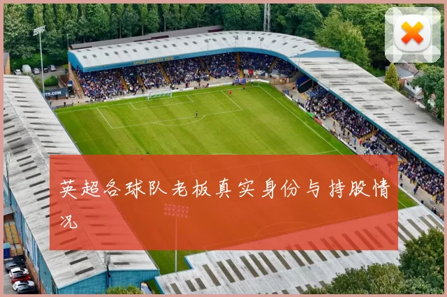 英超各球队老板真实身份与持股情况