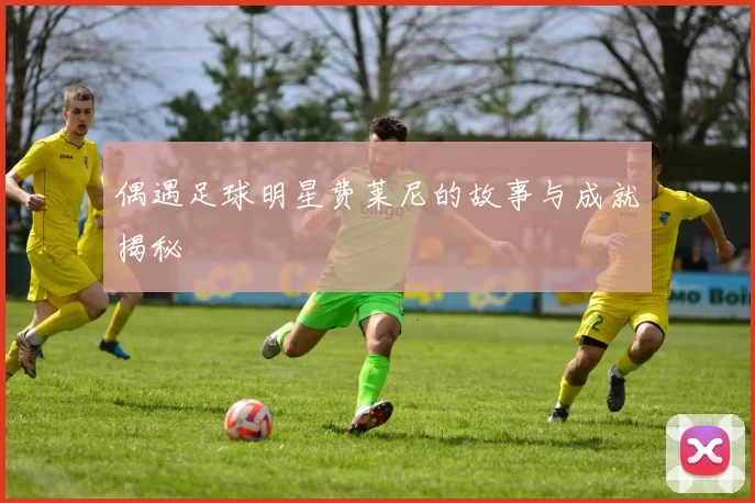 偶遇足球明星费莱尼的故事与成就揭秘