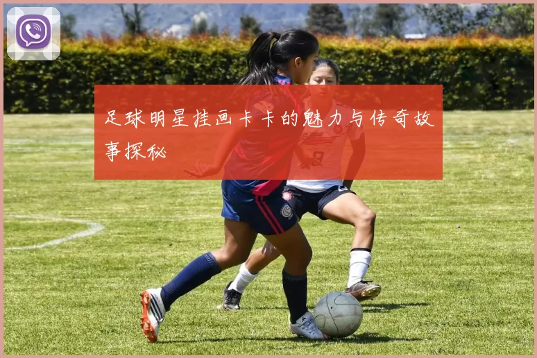 足球明星挂画卡卡的魅力与传奇故事探秘