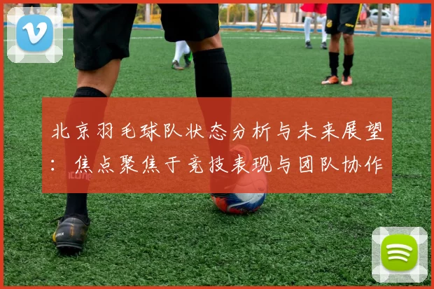 北京羽毛球队状态分析与未来展望：焦点聚焦于竞技表现与团队协作