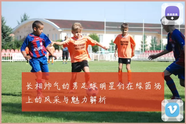 长相帅气的男足球明星们在绿茵场上的风采与魅力解析