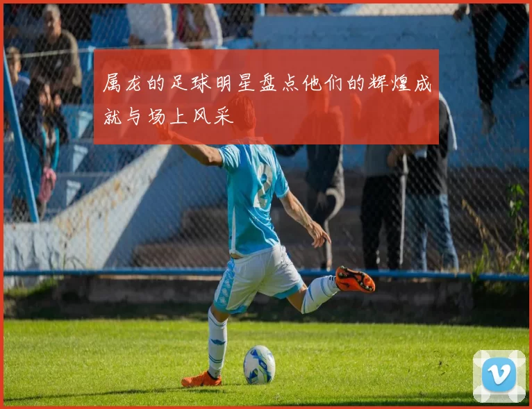 属龙的足球明星盘点他们的辉煌成就与场上风采