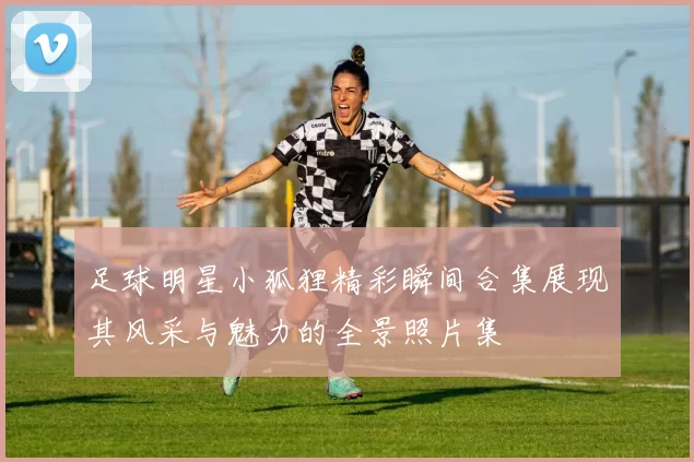 足球明星小狐狸精彩瞬间合集展现其风采与魅力的全景照片集