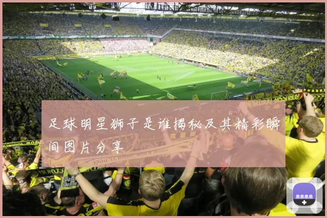足球明星狮子是谁揭秘及其精彩瞬间图片分享