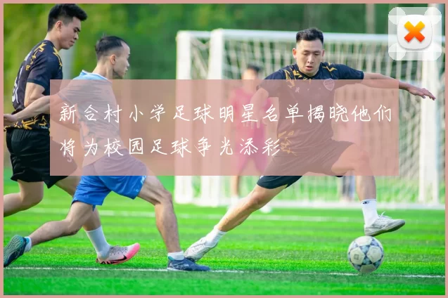 新合村小学足球明星名单揭晓他们将为校园足球争光添彩
